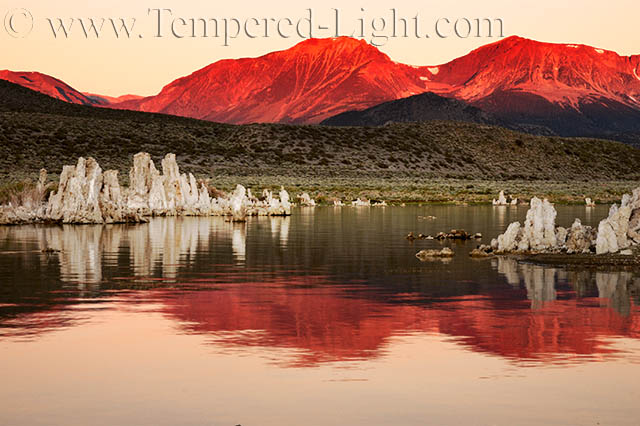 Mono Lake Dawn