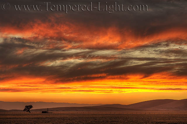 Livermore Valley Sunset