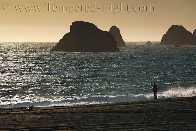 Goat Rock Beach