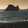 Goat Rock Beach