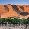 Another Beautiful Day in Wine Country
