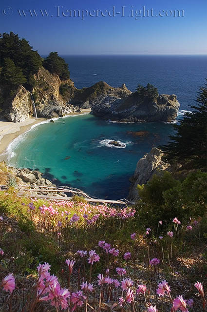 McWay Falls
