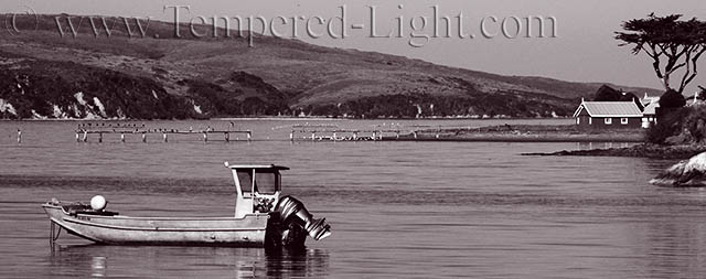 Tomales Bay