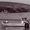 Tomales Bay