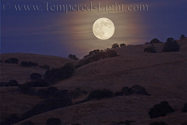 Hazy Moonrise