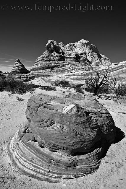 Whitepocket Sandstone