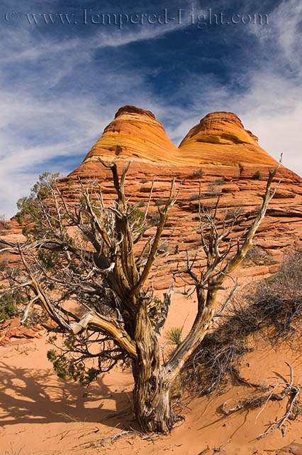 North Coyote Buttes