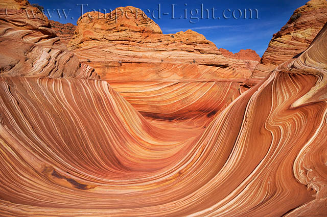 The Wave