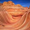 The Wave