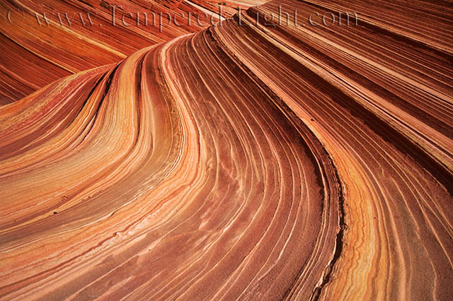 Wave Detail