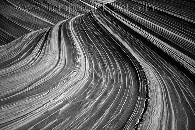 Wave Detail