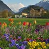 Interlaken Garden in Springtime