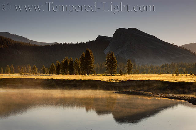 Tuolumne Meadow Dawn