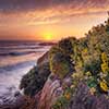 Pescadero Beach