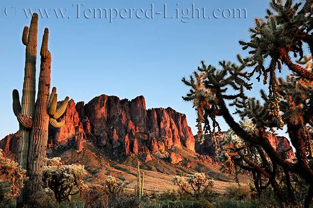 The Lost Dutchman