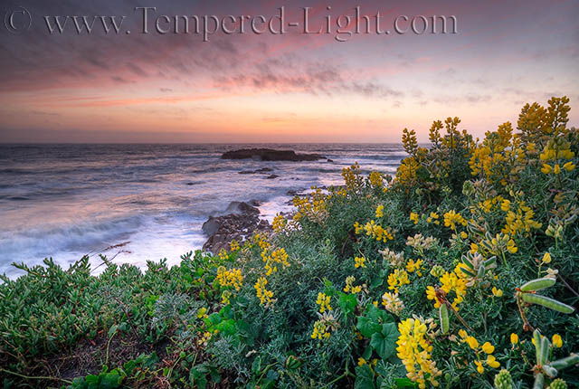 Pescadero Beach
