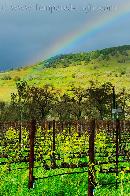 Napa Valley Rainbow