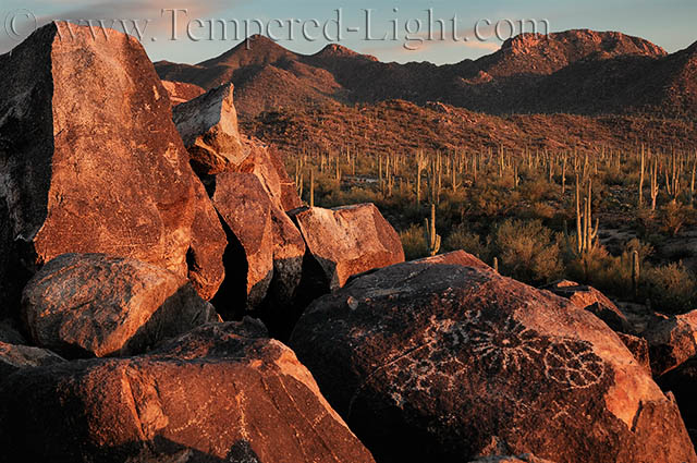 Signal Hill Petroglyphs II