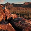 Signal Hill Petroglyphs II