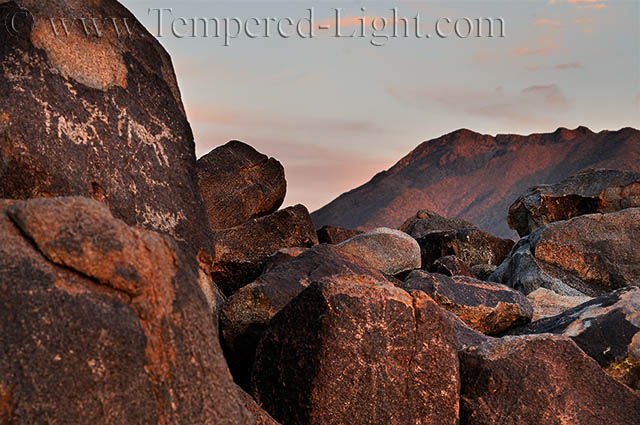 Signal Hill Petroglyphs