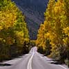 June Lake Loop