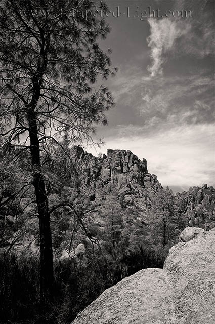 Condor Gulch I
