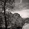 Condor Gulch I