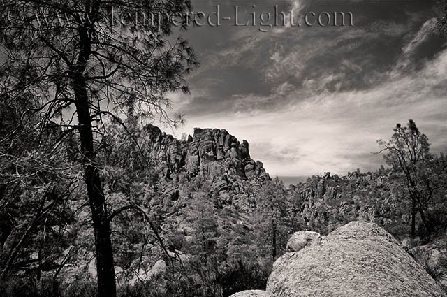 Condor Gulch II
