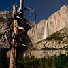 Yosemite Moonlight
