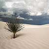 White Sands