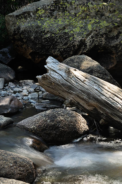 Tuolumne River Detail