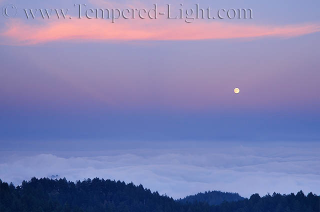 Moonrise over Foggy Bay