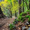 Pohono Path