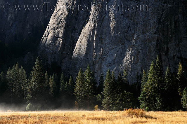 El Capitan Meadow at Dawn