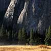 El Capitan Meadow at Dawn