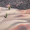 The Fantastic Lava Beds III
