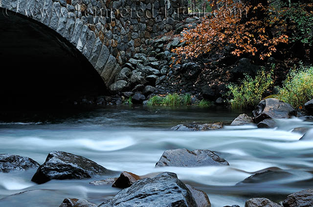 Pohono Bridge at Dusk