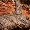 Red Rock Canyon Textures