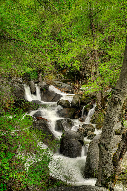 Chilnualna Cascade
