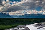 July 2018 trip through Prince William Sound and Denali National Park