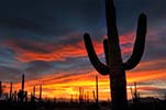 Southern Arizona