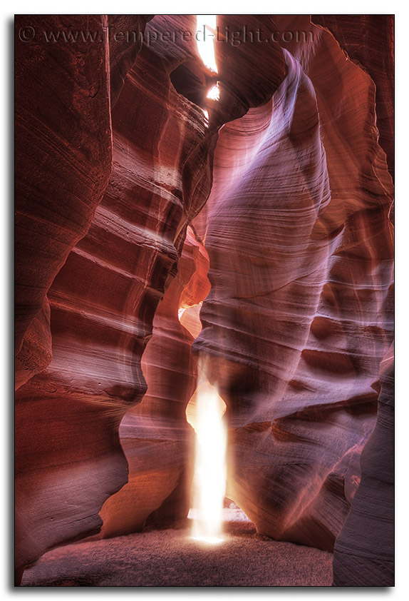 Spirit in the Canyon