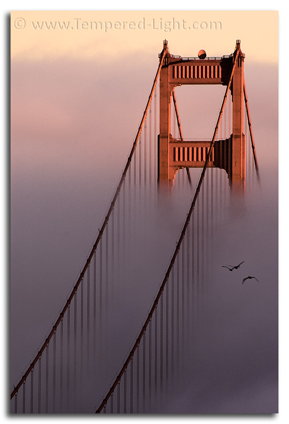 Golden Gate in Fog