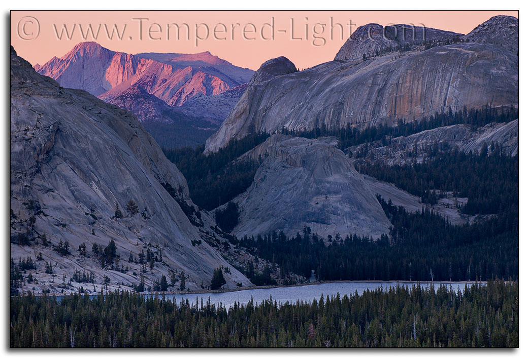 Mt. Conness Alpenglow over Tenaya Lake