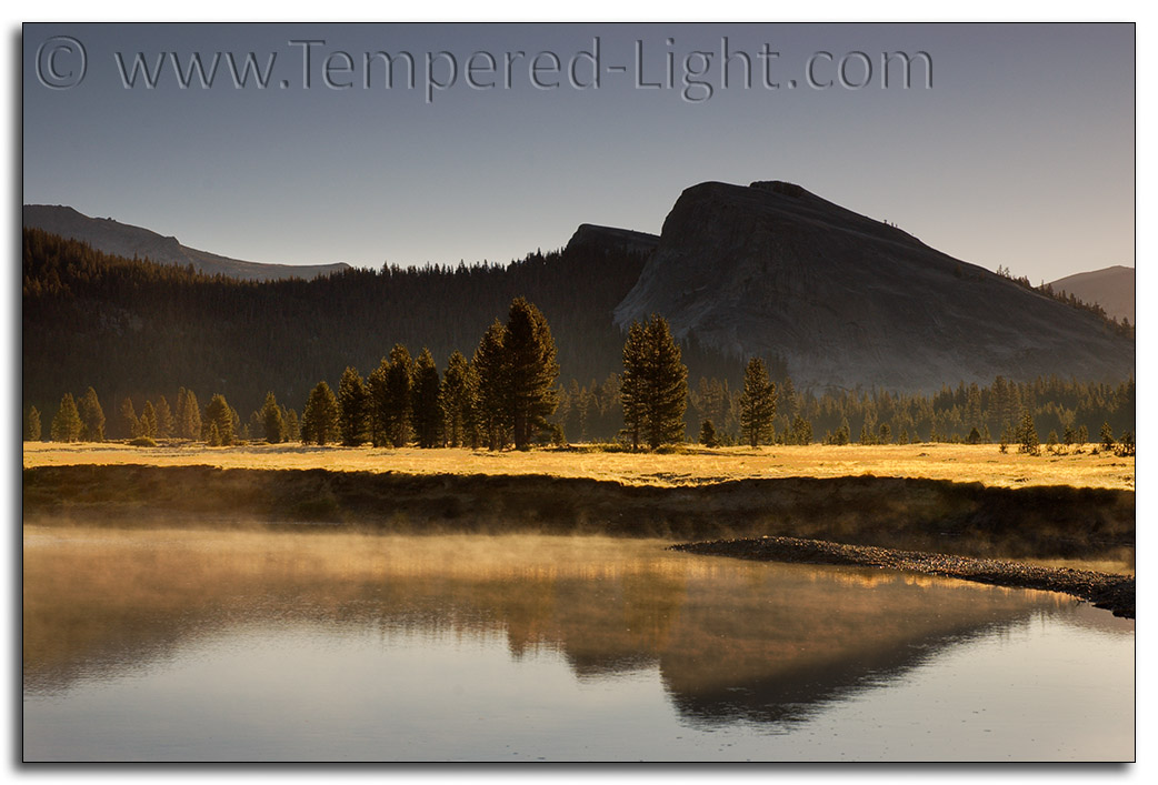 Tuolumne Meadow Dawn