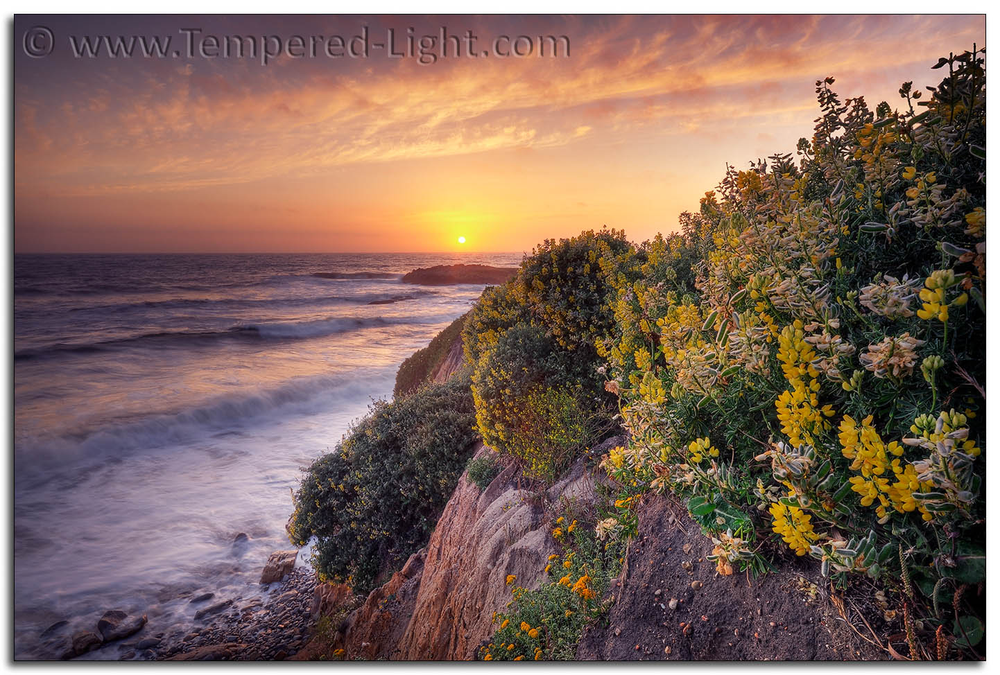 Pescadero Beach