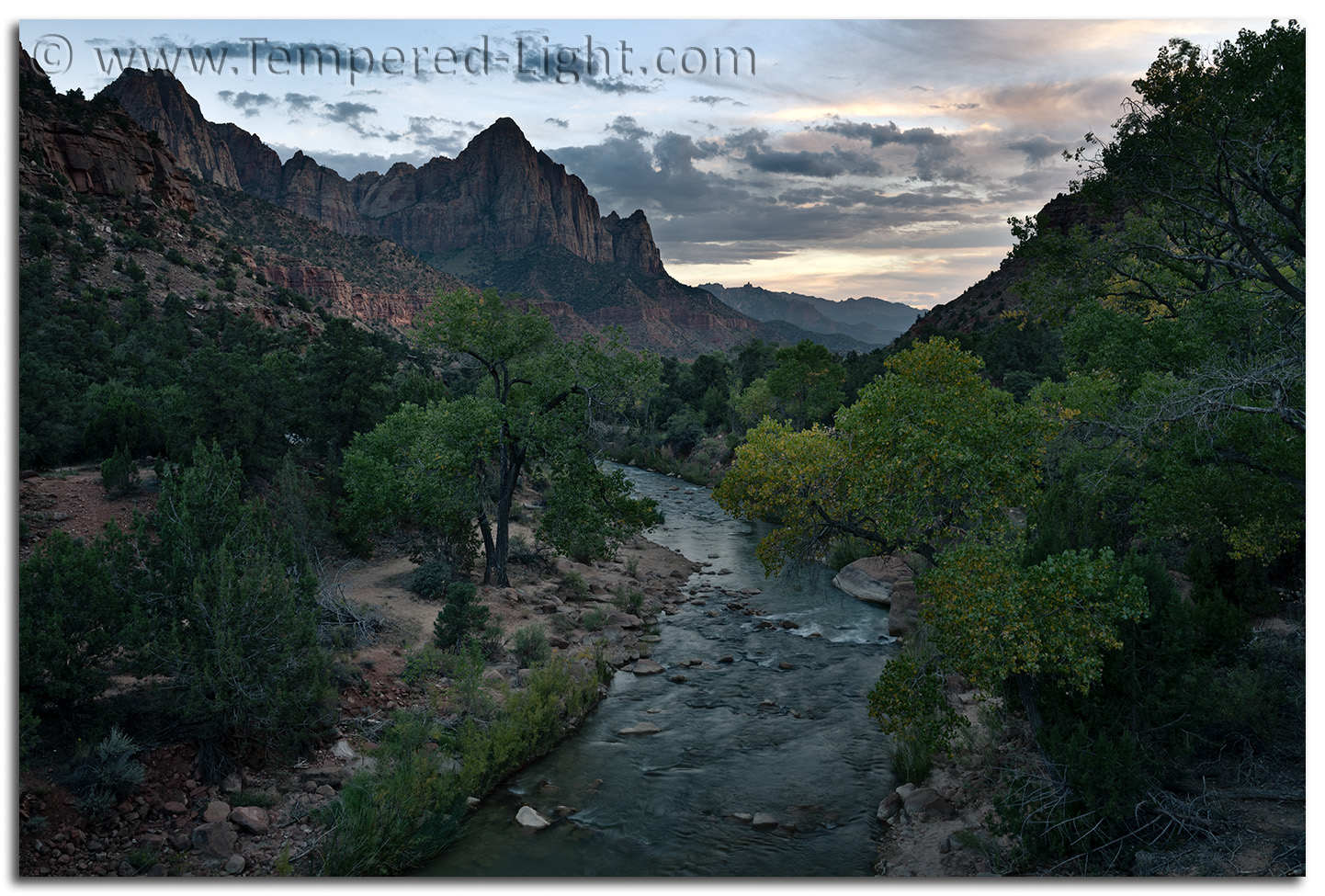 The Watchman