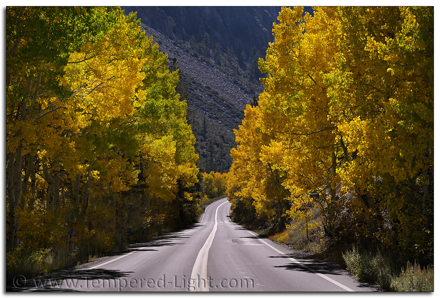 June Lake Loop