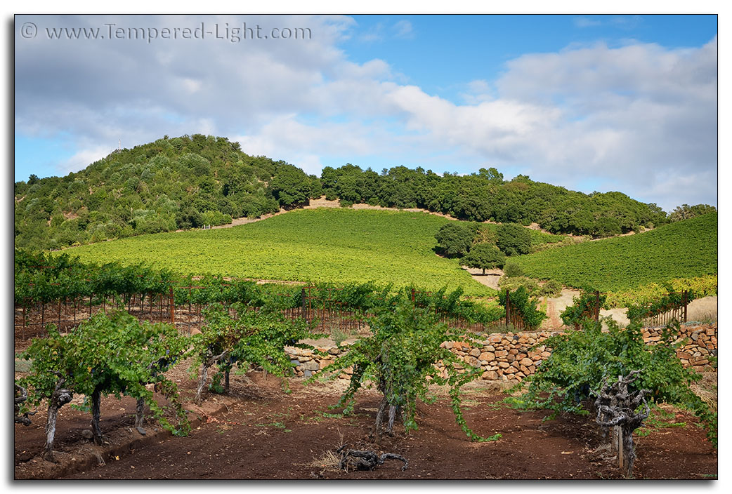 Monte Rosso El Pozo Block