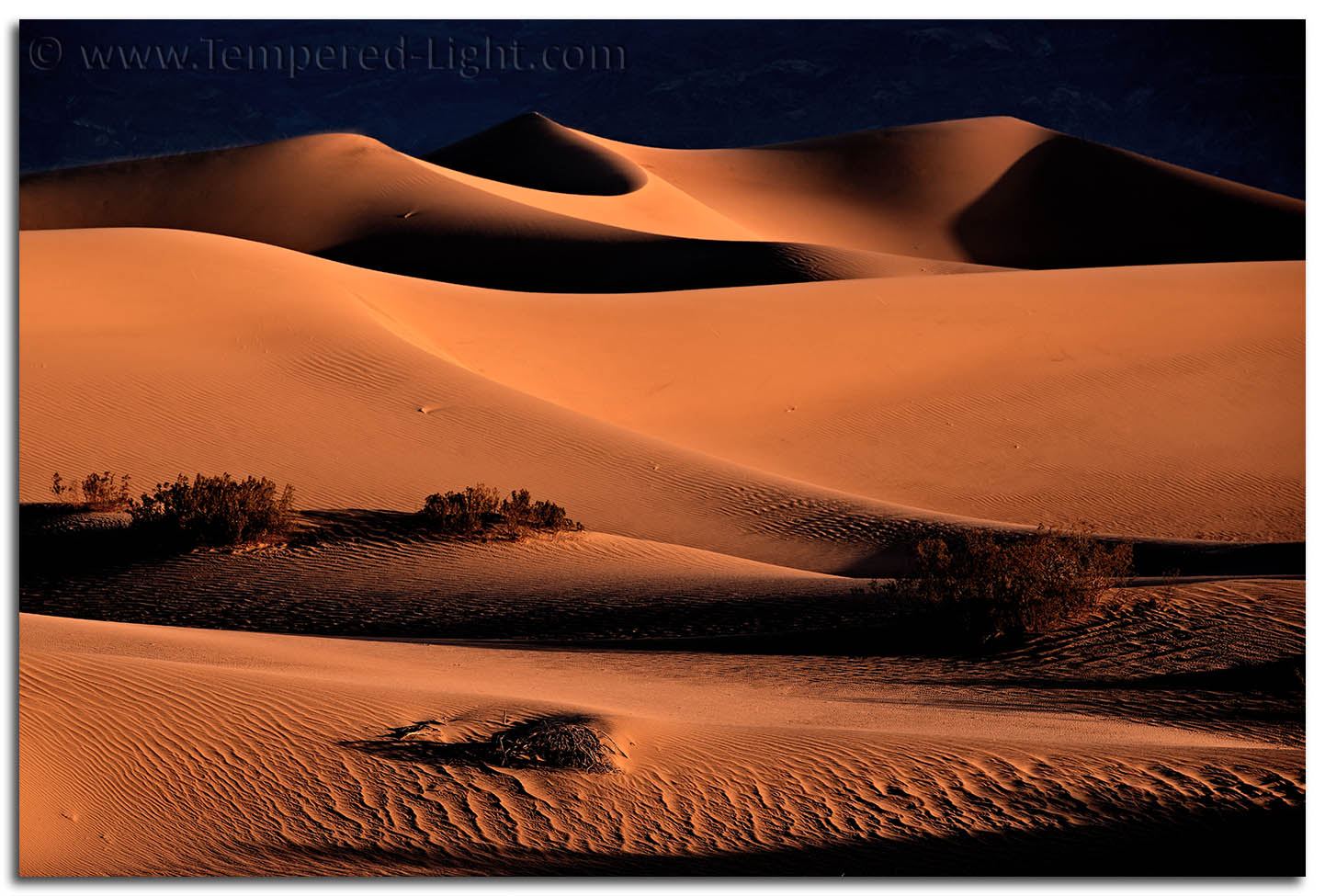 Mesquite Flat Dunes
